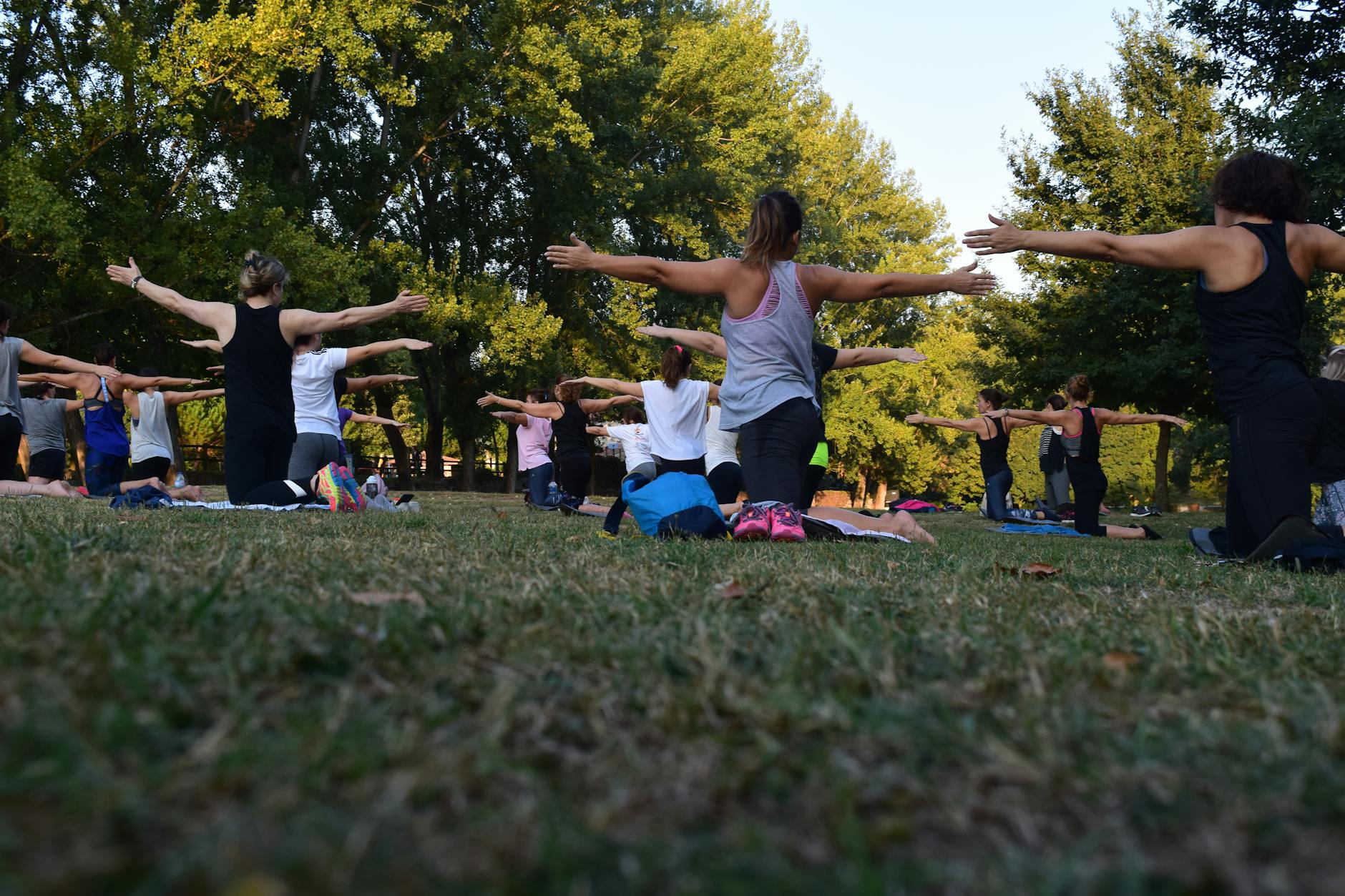 Senior wellness in Santa Clara, California